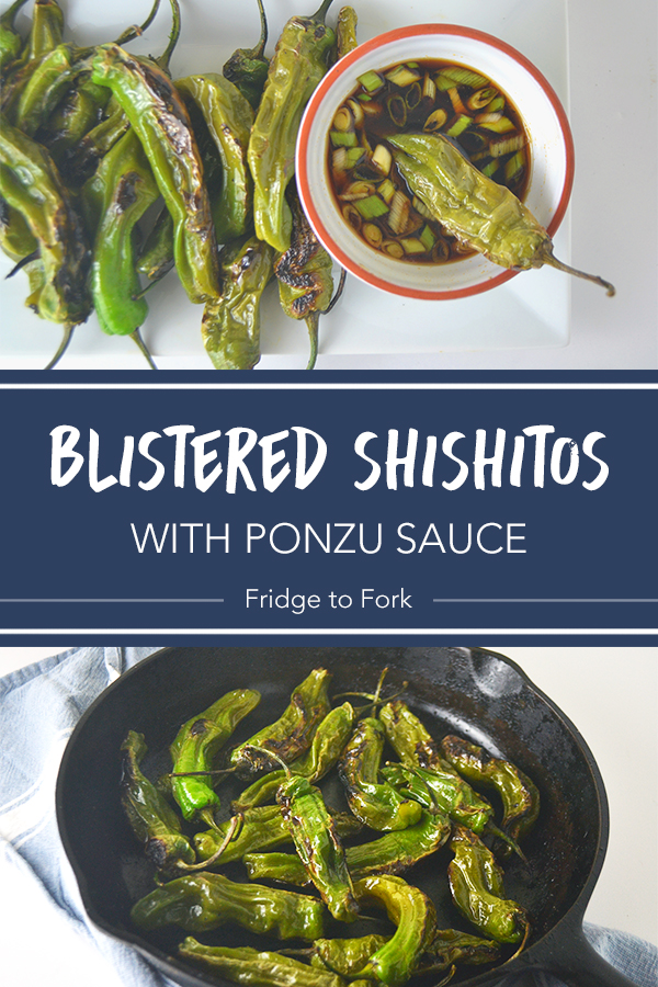 Blistered Shishito Peppers with Ponzu Sauce | Fridge to Fork